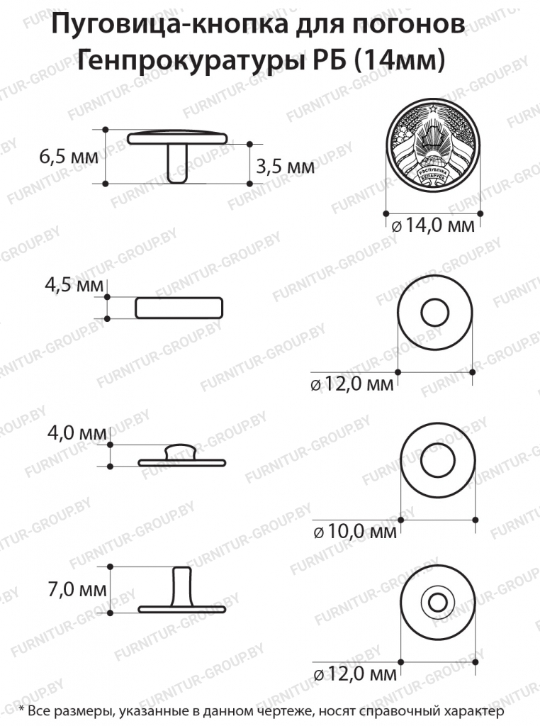 Пуговица-кнопка для погонов Генпрокуратуры РБ-21.jpg